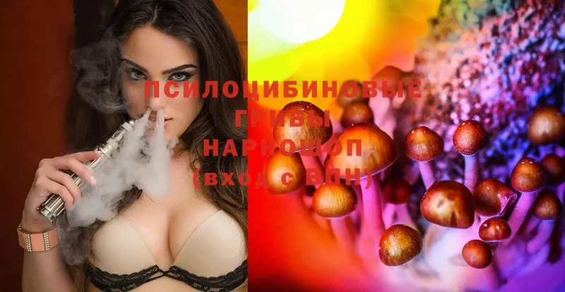 купить  сайты  Батайск  Псилоцибиновые грибы GOLDEN TEACHER 