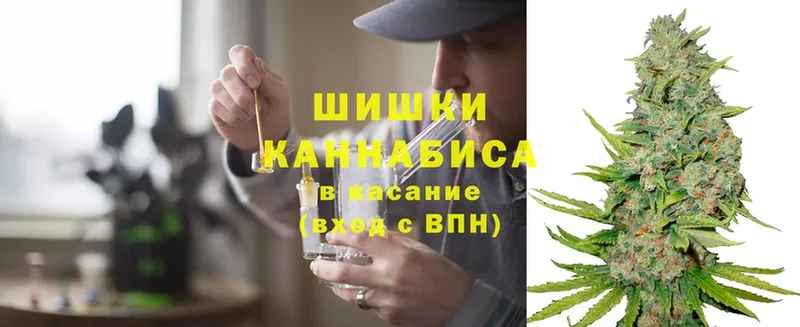 Шишки марихуана план  blacksprut ТОР  Батайск  продажа наркотиков 